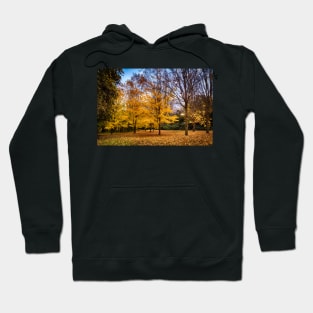 Golden Autumn in New Zealand Hoodie